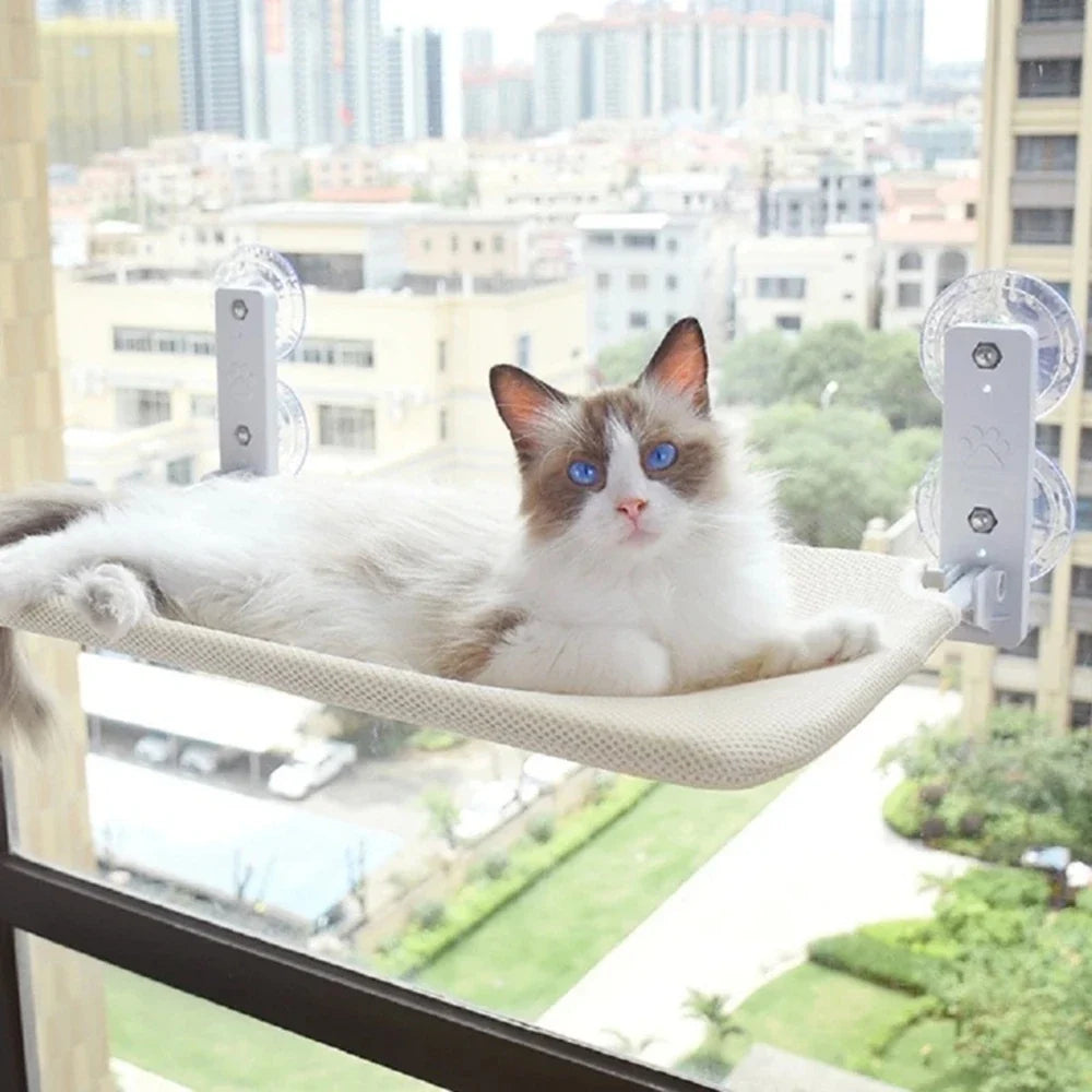 Cat resting on a suction cup window hammock