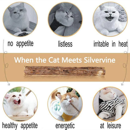 15-Piece Silvervine Cat Chew Sticks – Matatabi Toy – product image 13
