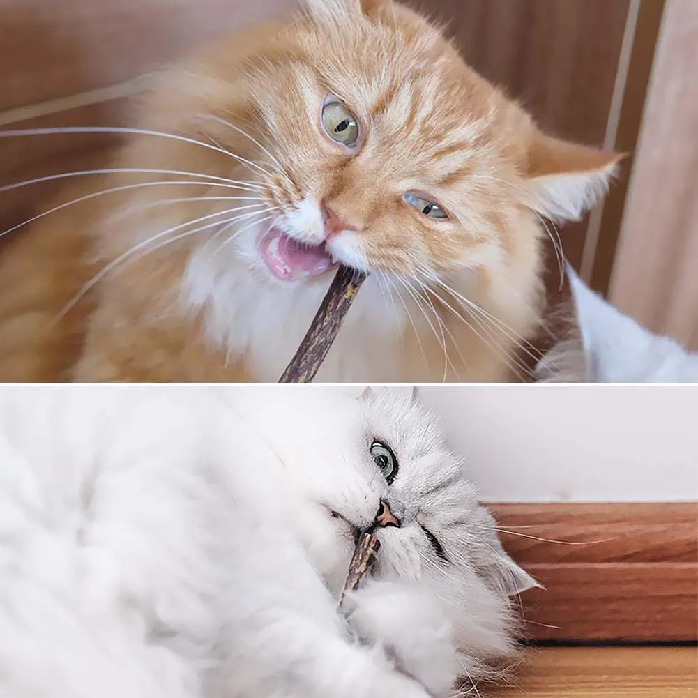 15-Piece Silvervine Cat Chew Sticks – Matatabi Toy – product image 9