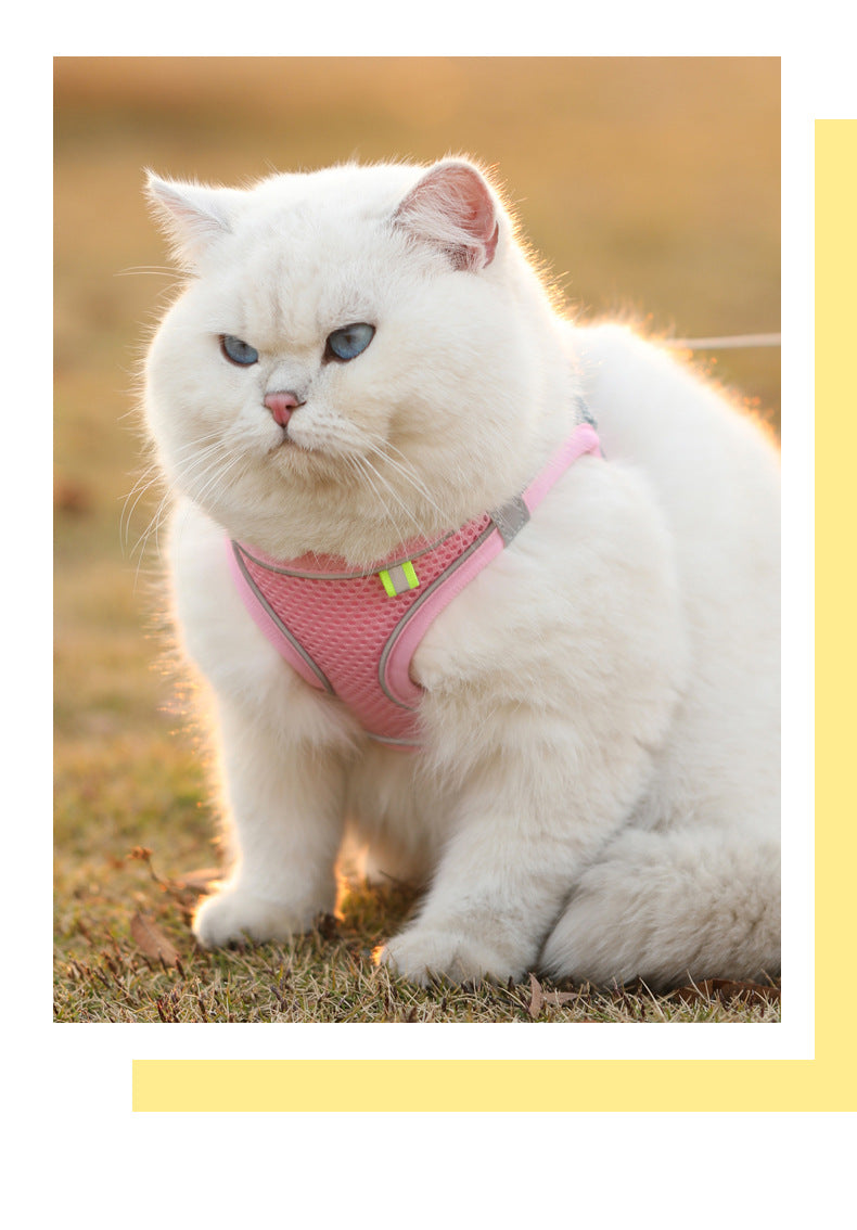 Reflective Step-In Pet Harness – Adjustable Walking Vest – product view 11