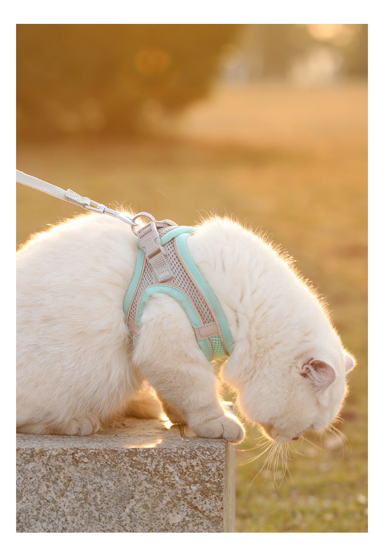 Reflective Step-In Pet Harness – Adjustable Walking Vest – product view 10