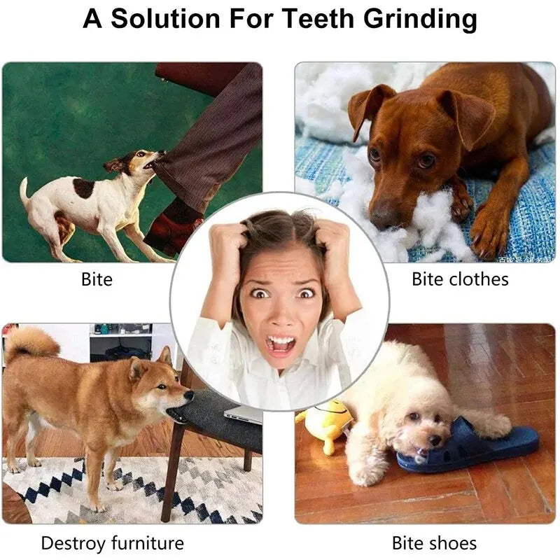 Treat-Dispensing Dog Ball – Chew & Enrichment Toy – product view 6