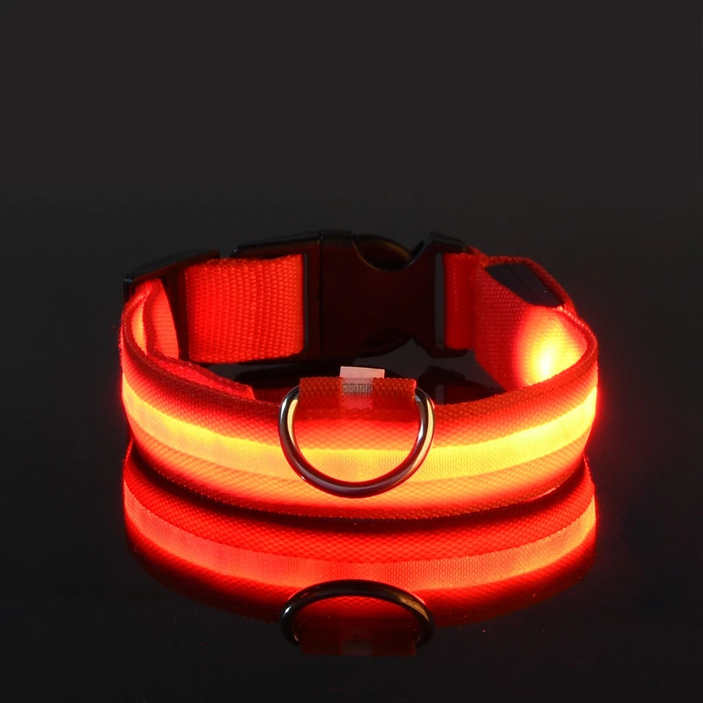 LED Safety Dog Collar – Light-Up Night Walking Collar – product view 21