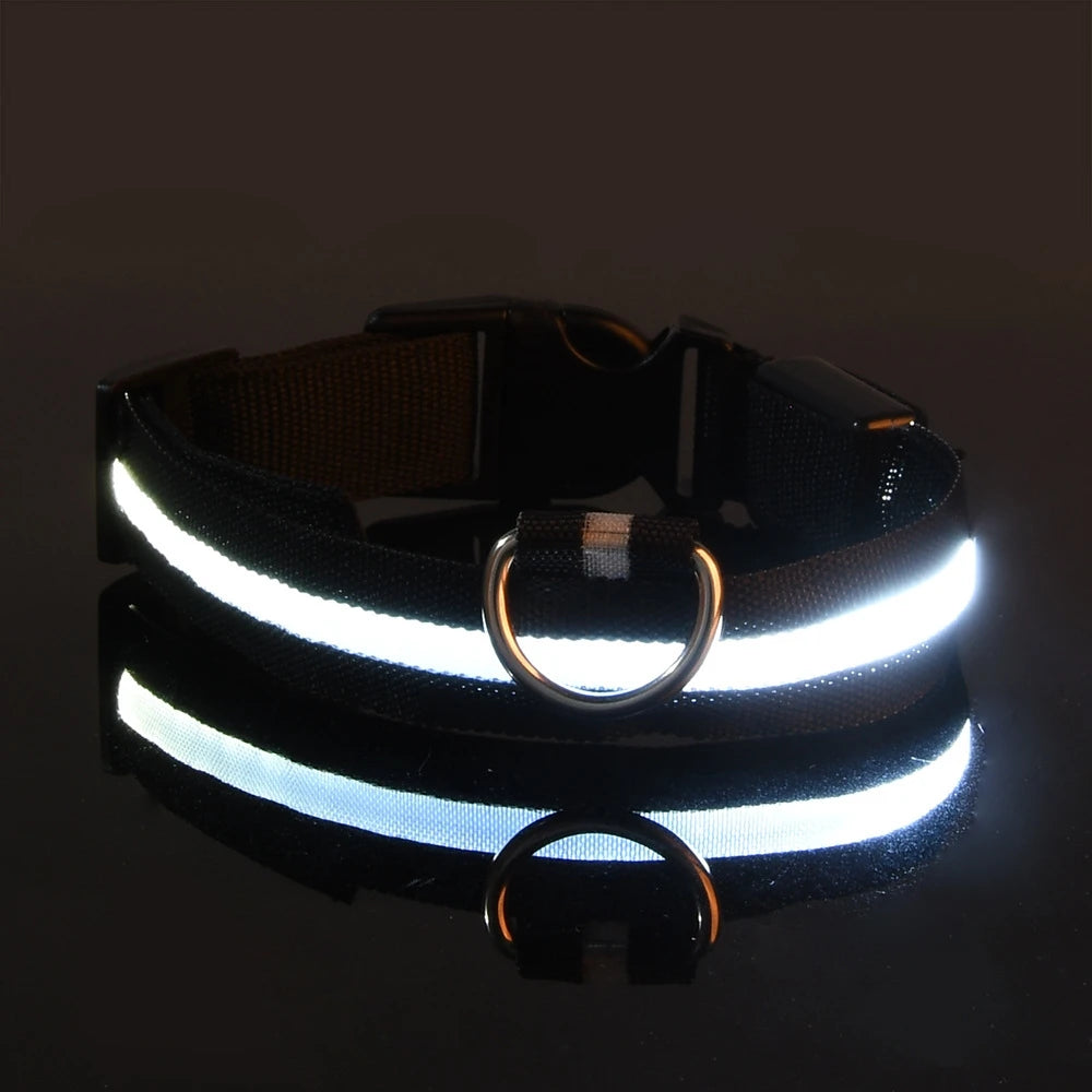 LED Safety Dog Collar – Light-Up Night Walking Collar – product view 22