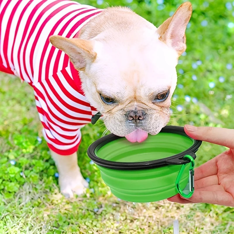 Collapsible Pet Travel Bowl – Portable Food & Water Dish