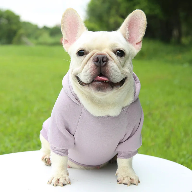 Warm Dog Hoodie – Chihuahua & French Bulldog Coat – product image 19