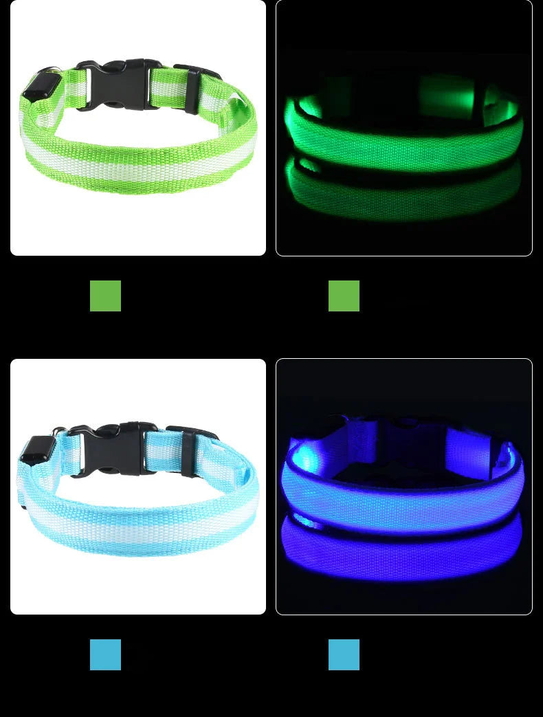 LED Safety Dog Collar – Light-Up Night Walking Collar – product view 15