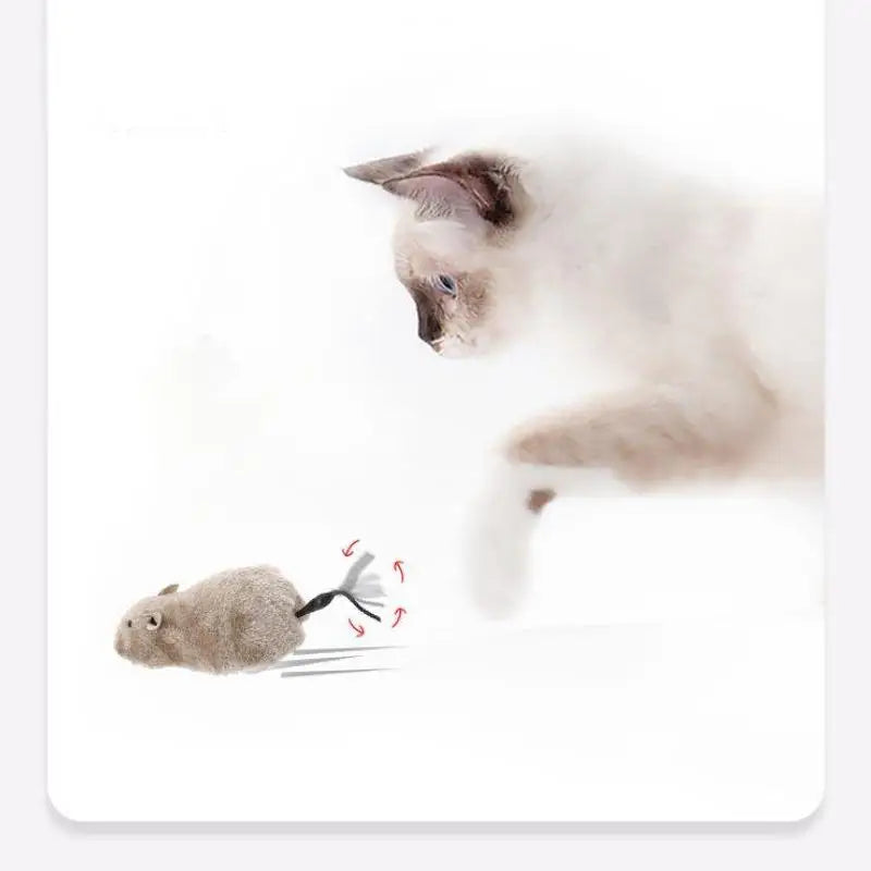 Wind-Up Plush Mouse Cat Toy – Lifelike Running Rat – product image 2