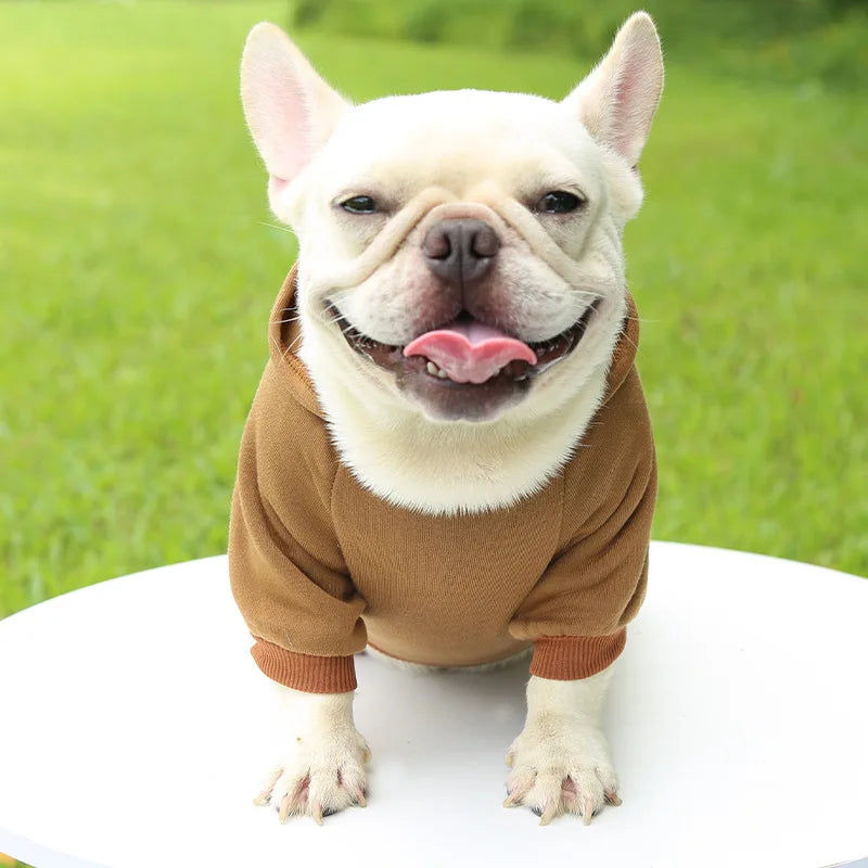 Warm Dog Hoodie – Chihuahua & French Bulldog Coat – product image 16