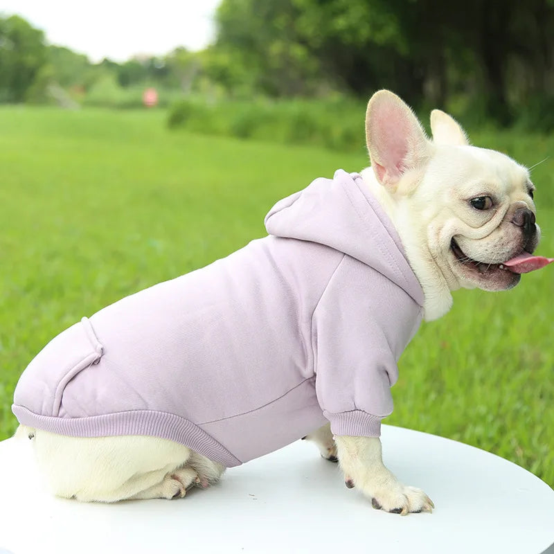 Warm Dog Hoodie – Chihuahua & French Bulldog Coat – product image 18