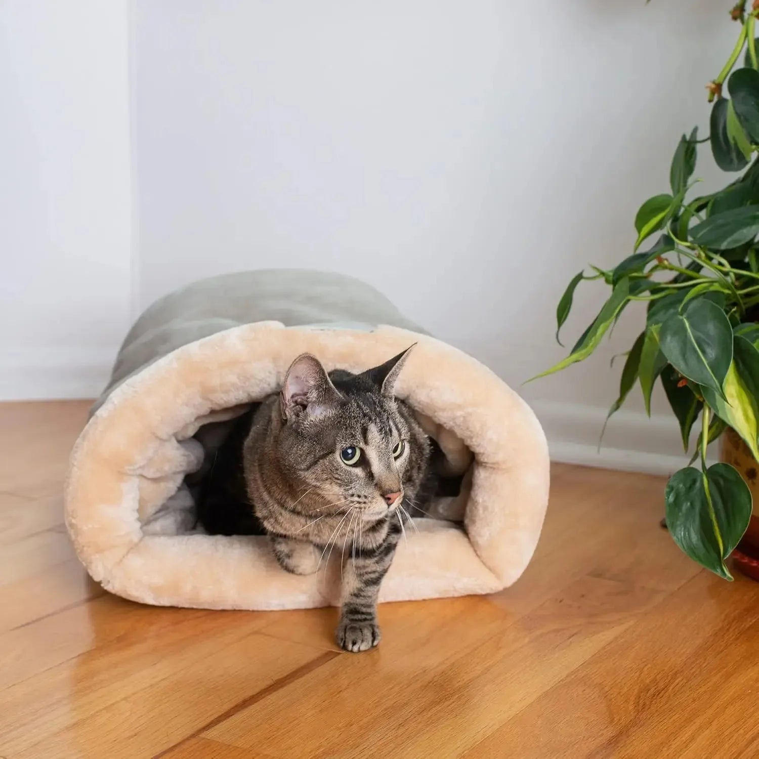 Cats Bed Basket Accessory House Kitten Houses and Habitats Accessories All Pet Products Dog Mat Supplies Beds Puppy Things Goods