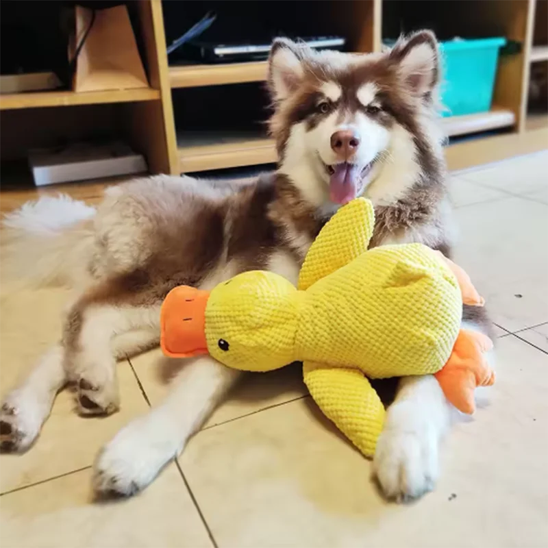 Plush Duck Squeaky Dog Toy – Cuddly Enrichment Toy – product image 4