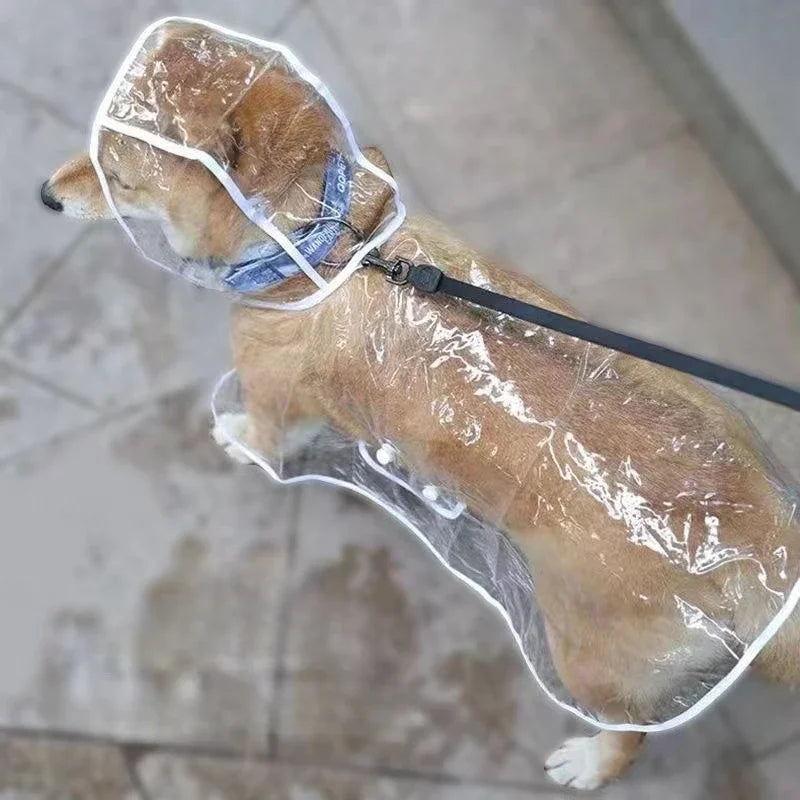 Transparent Hooded Dog Raincoat – Waterproof Puppy Poncho – product image 2