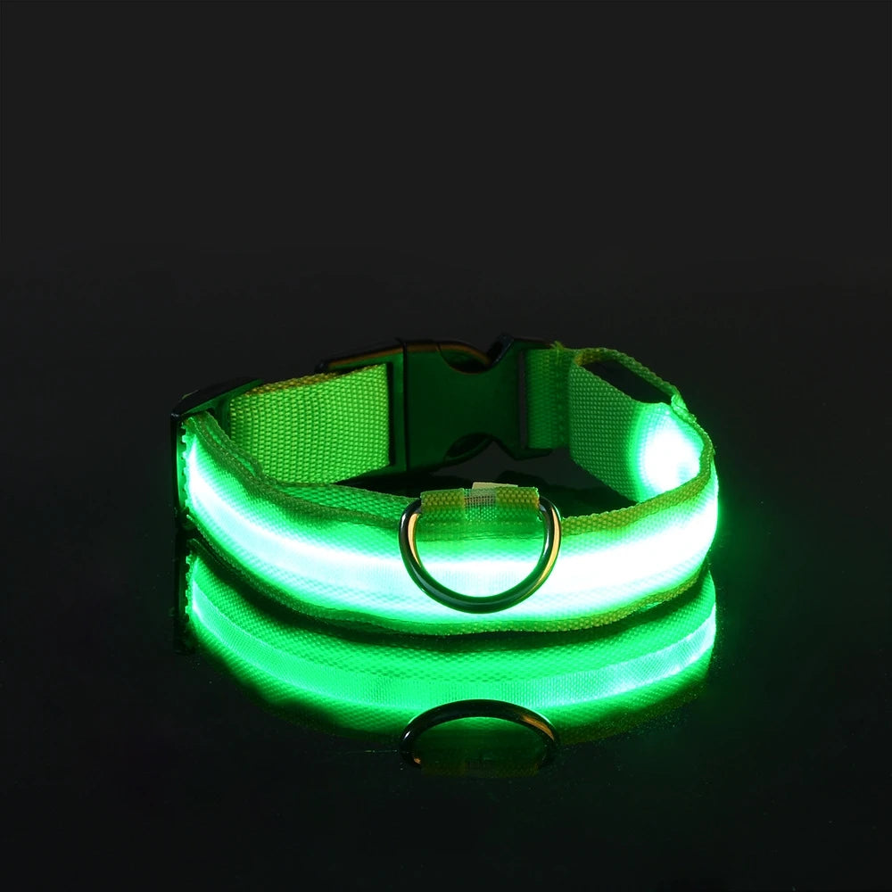 LED Safety Dog Collar – Light-Up Night Walking Collar – product view 18