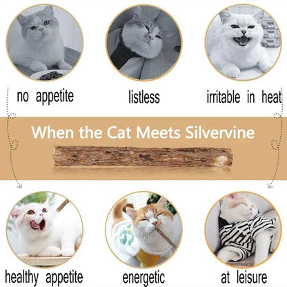 15-Piece Silvervine Cat Chew Sticks – Matatabi Toy – product image 5