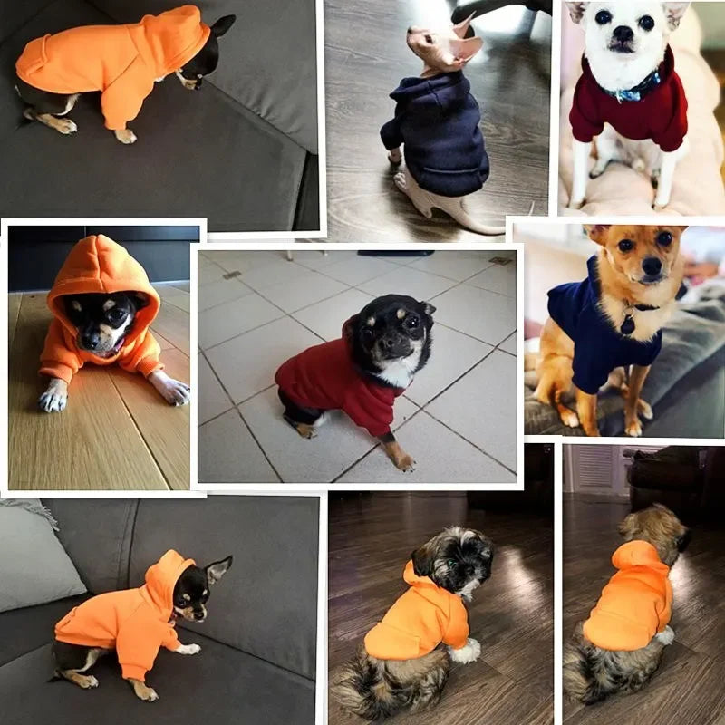 Warm Dog Hoodie – Cozy Autumn & Winter Puppy Coat – product image 4