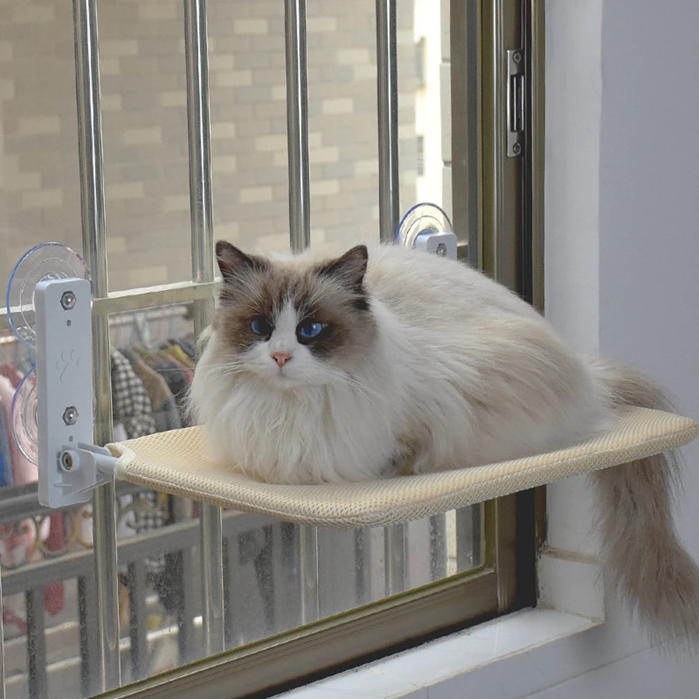 Foldable Hanging Hammock for Pet, Hammock for Kitten, Hammock for Sunny Window, Mounted Cat Bed, Durable Climbing Frame