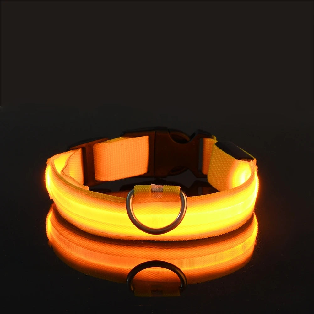 LED Safety Dog Collar – Light-Up Night Walking Collar – product view 17