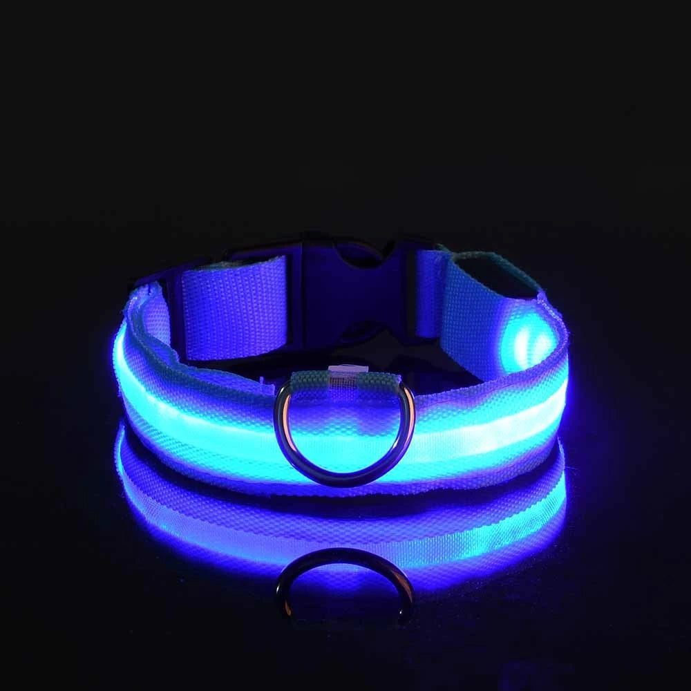 LED Safety Dog Collar – Light-Up Night Walking Collar – product view 20