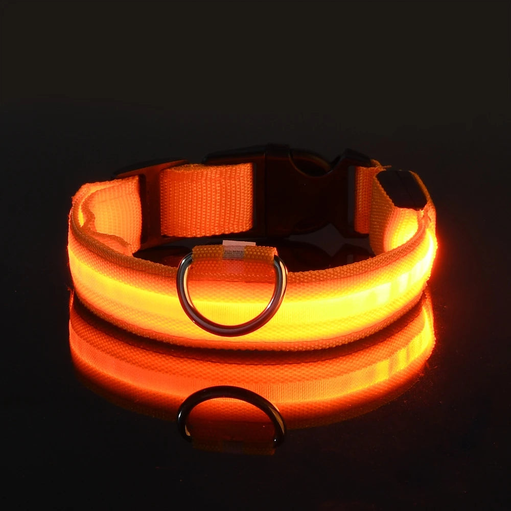 LED Safety Dog Collar – Light-Up Night Walking Collar – product view 23