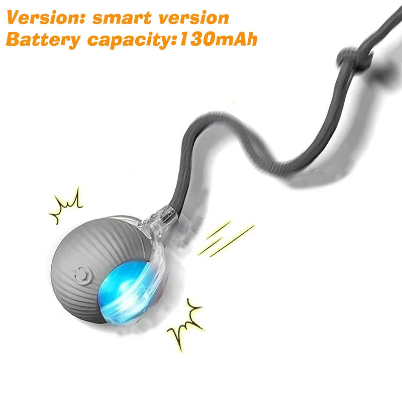 Rechargeable Rolling Dog Ball – Automatic Interactive Toy – product image 18