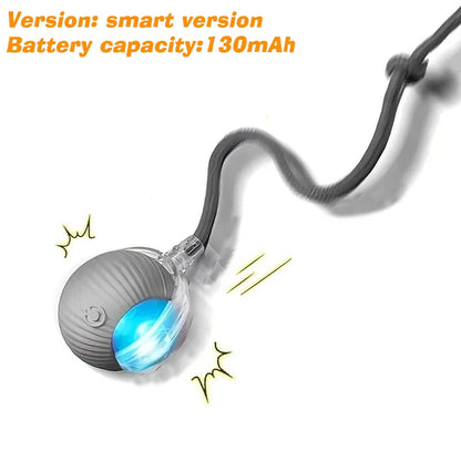 Rechargeable Rolling Dog Ball – Automatic Interactive Toy – product image 18