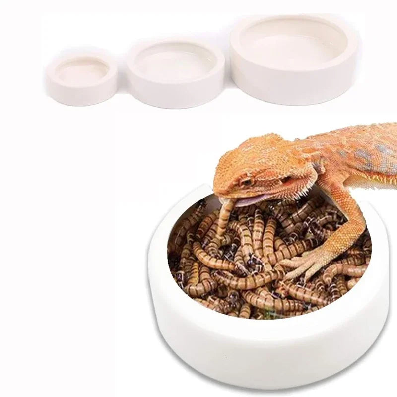 2-in-1 Pet Food & Water Dispenser – Gravity Feeder – product image 7