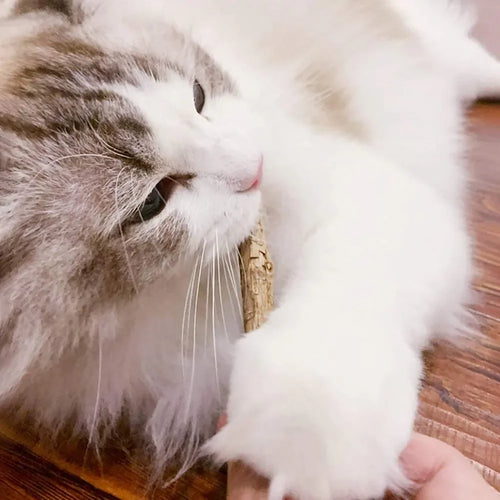 15-Piece Silvervine Cat Chew Sticks – Matatabi Toy – product image 2