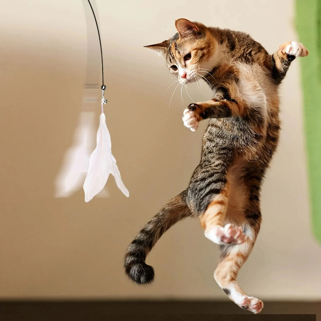 Suction Cup Cat Feather Wand – Interactive Teaser Toy – product image 6