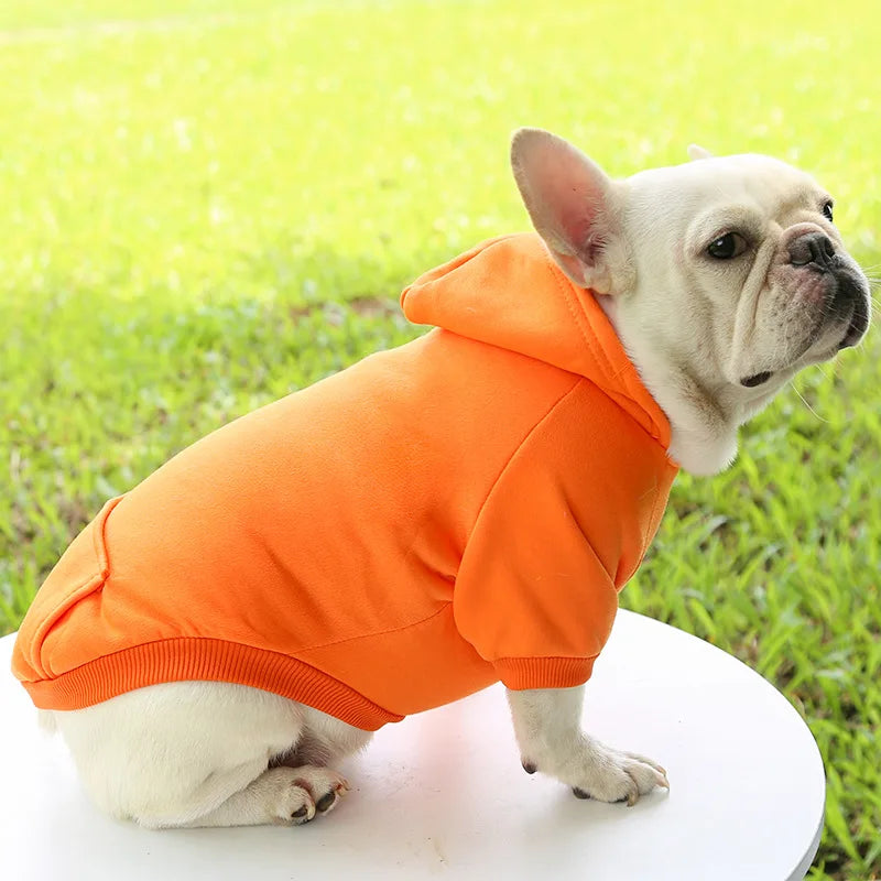 Warm Dog Hoodie – Chihuahua & French Bulldog Coat – product image 13