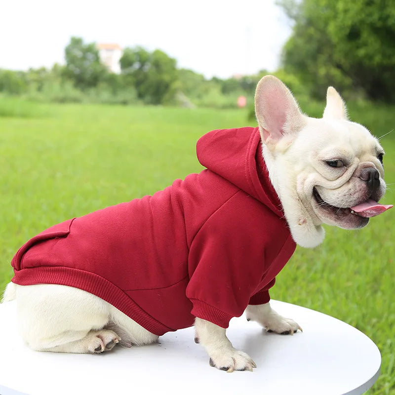 Warm Dog Hoodie – Chihuahua & French Bulldog Coat – product image 7