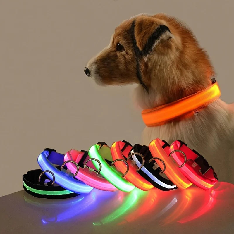 LED Safety Dog Collar – Light-Up Night Walking Collar