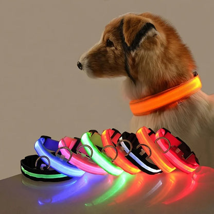 LED Safety Dog Collar – Light-Up Night Walking Collar