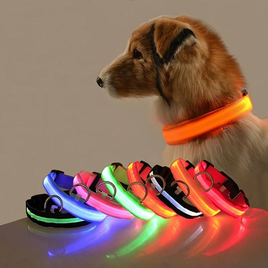 LED Safety Dog Collar – Light-Up Night Walking Collar