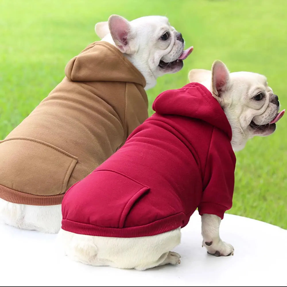 Warm Dog Hoodie – Chihuahua & French Bulldog Coat