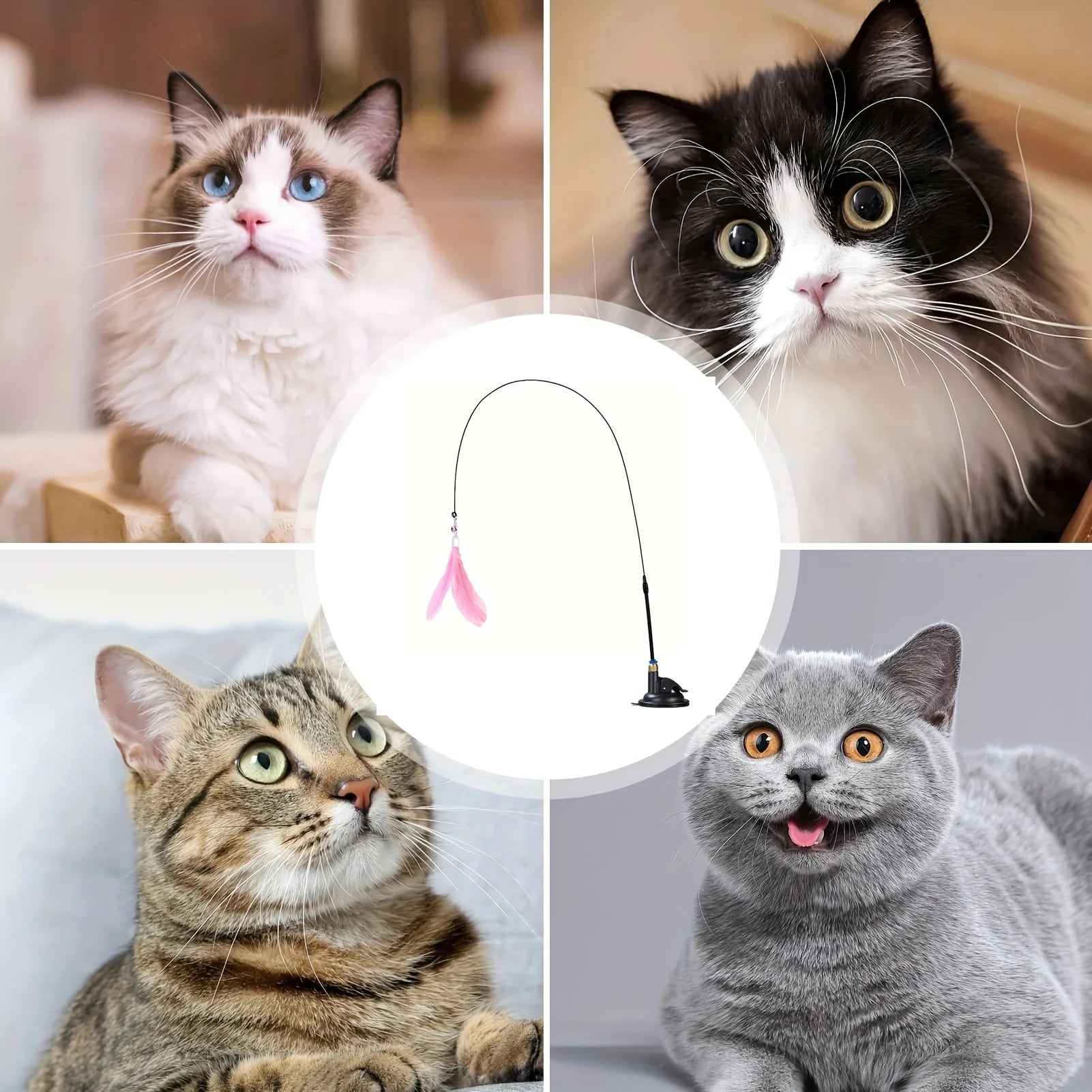 Suction Cup Cat Feather Wand – Interactive Teaser Toy – product image 11