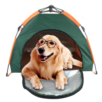 Dog sitting inside a portable folding pet tent