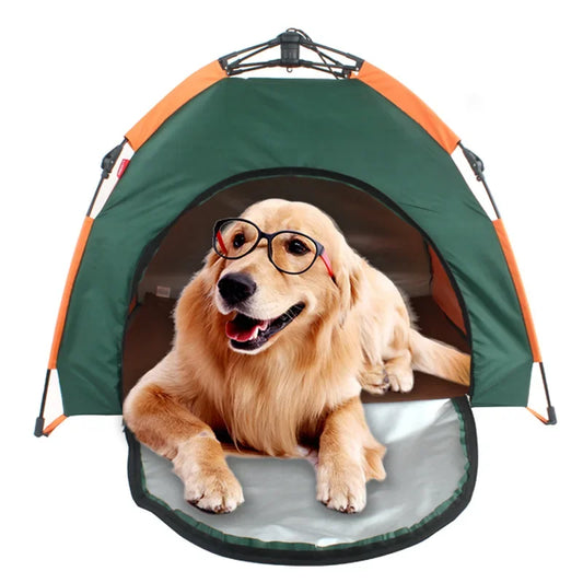 Dog sitting inside a portable folding pet tent