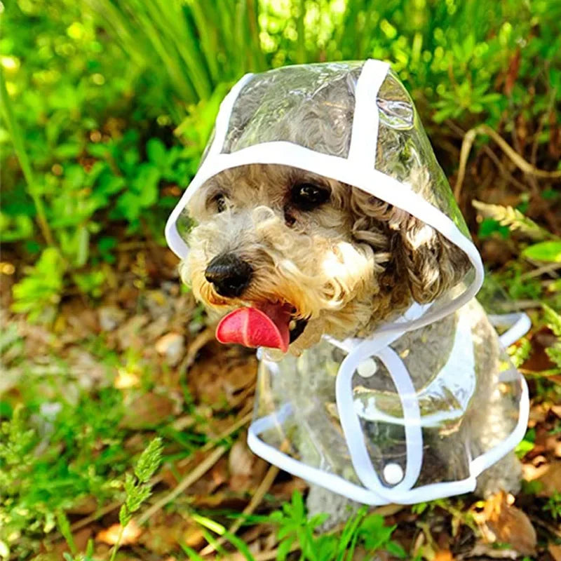 Transparent Hooded Dog Raincoat – Waterproof Puppy Poncho – product image 3