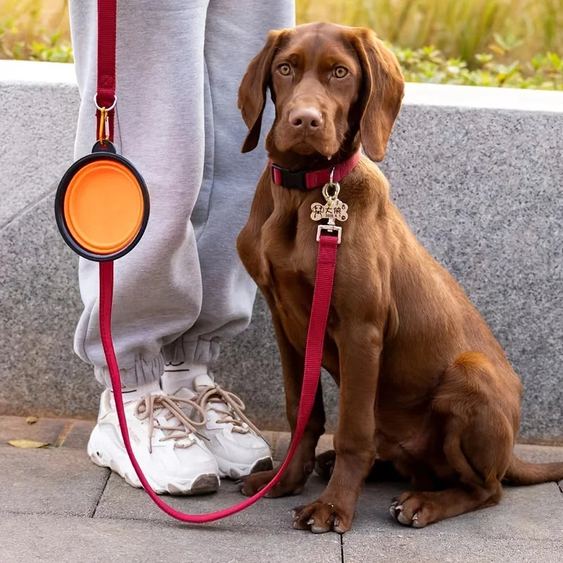 Collapsible Pet Travel Bowl – Portable Food & Water Dish
