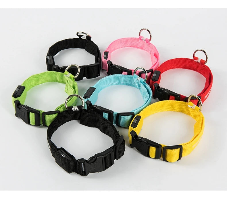 LED Safety Dog Collar – Light-Up Night Walking Collar – product view 9