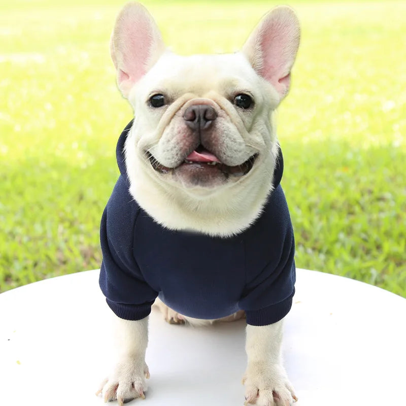Warm Dog Hoodie – Chihuahua & French Bulldog Coat – product image 22