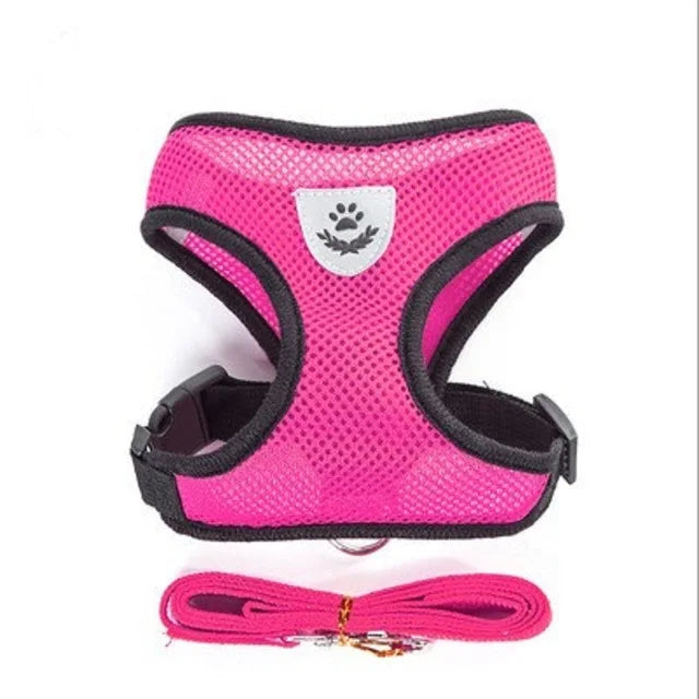 Breathable Mesh Pet Harness & Leash Set – Reflective – product view 14