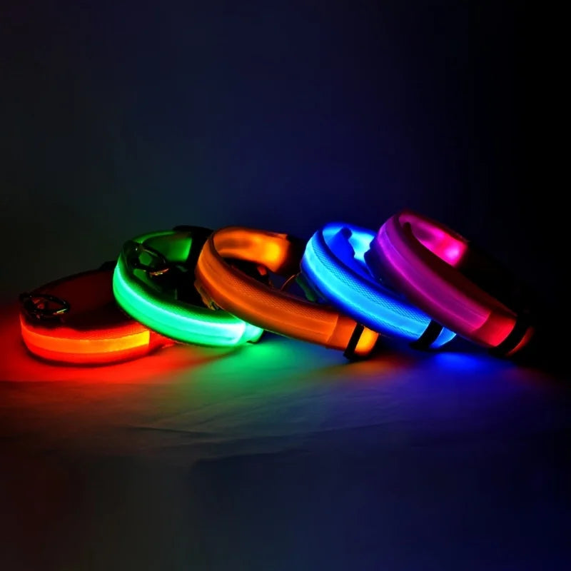 LED Safety Dog Collar – Light-Up Night Walking Collar – product view 6