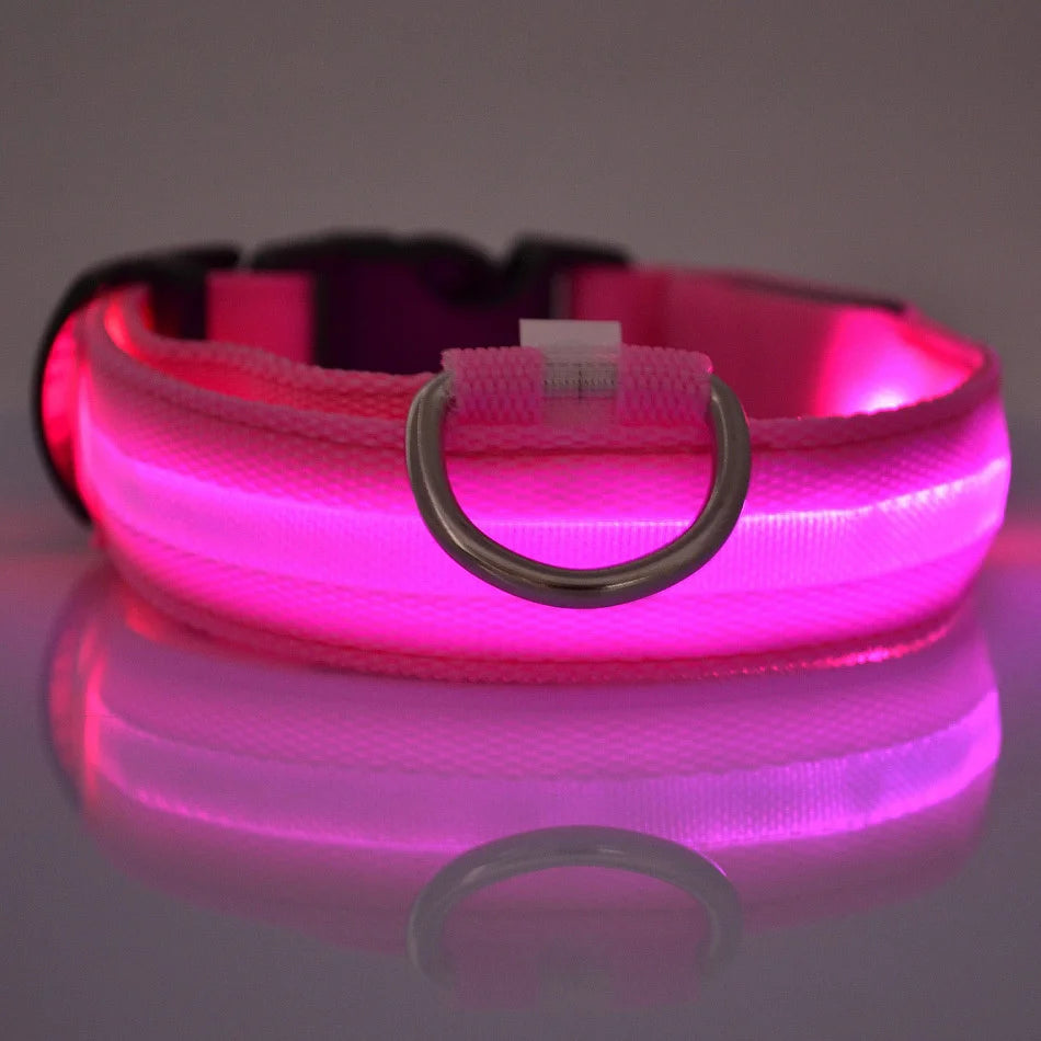 LED Safety Dog Collar – Light-Up Night Walking Collar – product view 4
