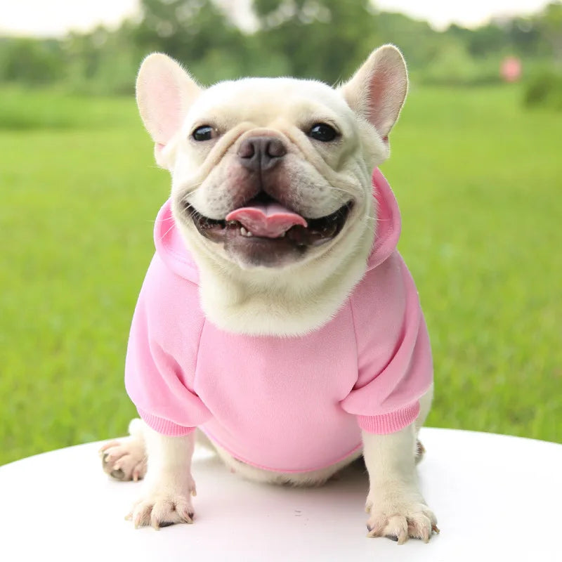 Warm Dog Hoodie – Chihuahua & French Bulldog Coat – product image 11