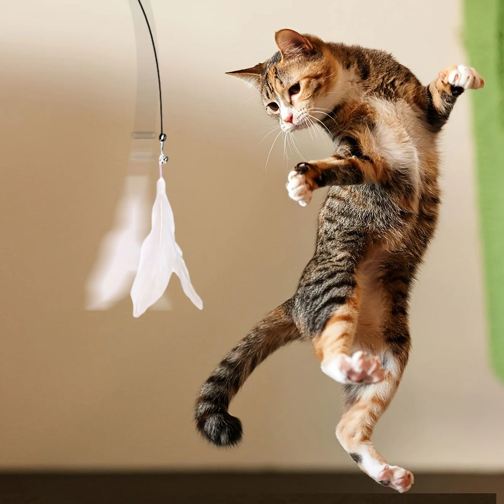 Suction Cup Cat Feather Wand – Interactive Teaser Toy – product image 9