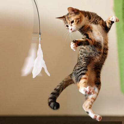 Suction Cup Cat Feather Wand – Interactive Teaser Toy – product image 9