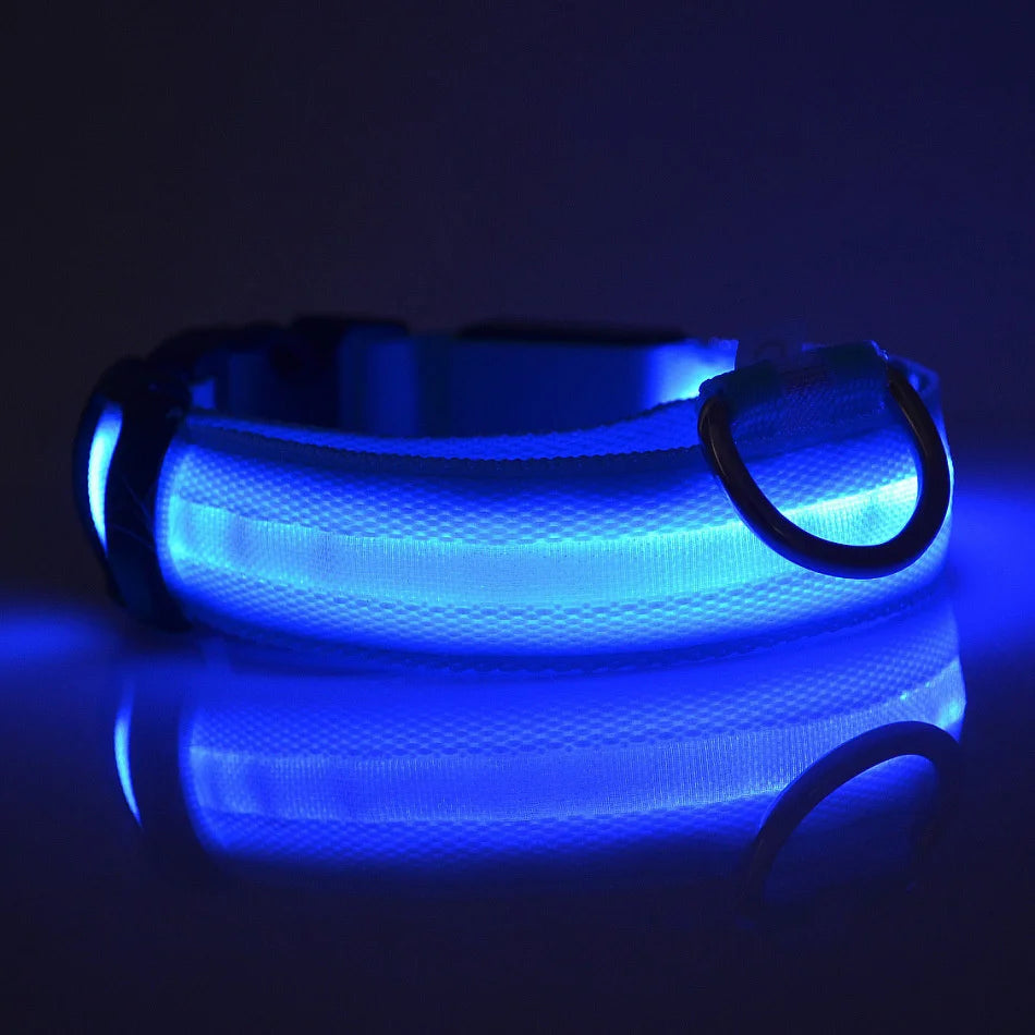 LED Safety Dog Collar – Light-Up Night Walking Collar – product view 10