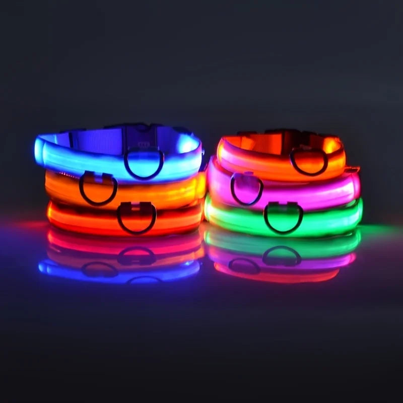 LED Safety Dog Collar – Light-Up Night Walking Collar – product view 3